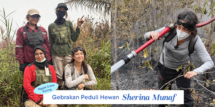 Selain Peduli Kucing, Ini Gebrakan Peduli Lingkungan yang Dilakukan Sherina Munaf