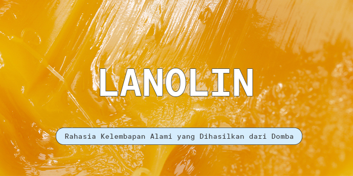 Dihasilkan dari Domba, Dipakai Manusia, Dirasakan Manfaatnya oleh Kulit