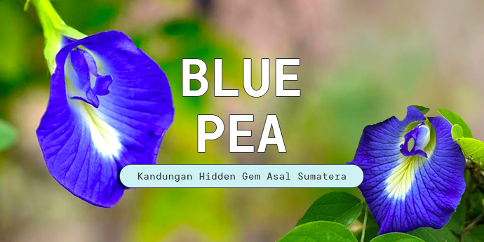 Fakta Menarik Soal Bunga Telang, Kandungan Asal Sumatera yang Jadi Hero Ingredient Produk Terbaru From This Island