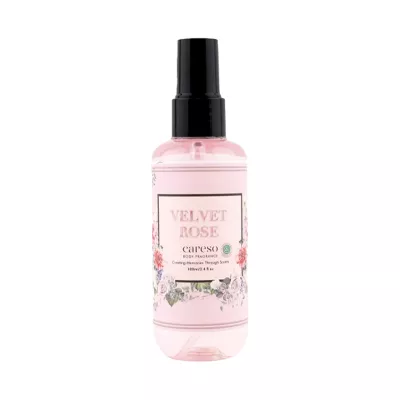 CARESO Velvet Rose